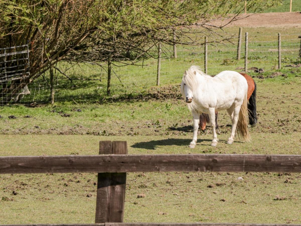 Oakwood Stables Βίλα Conwy Εξωτερικό φωτογραφία